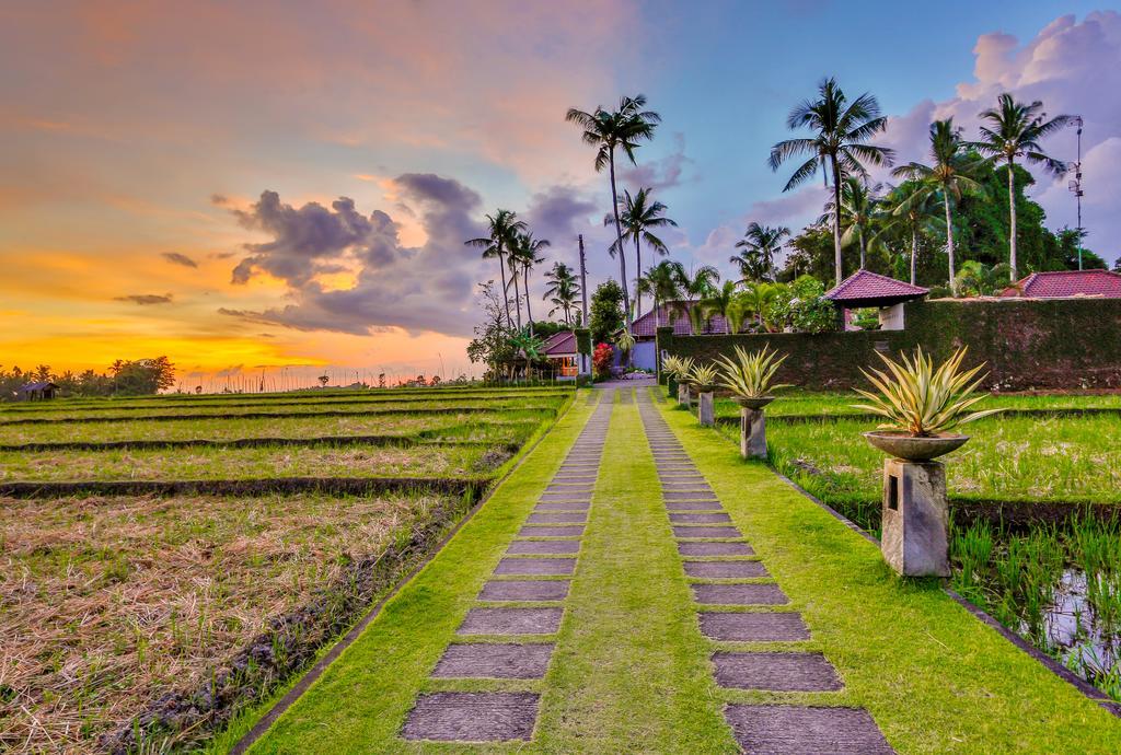 Villa Kaba Kaba Resort Canggu Exterior foto
